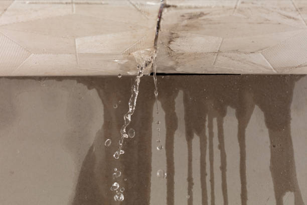 Professional Structural Drying technician working in Mcbrides, MI